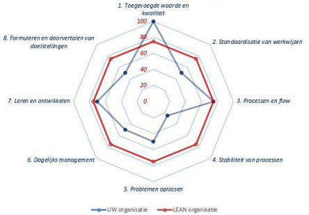 lean spinnenwebdiagram rijnconsult